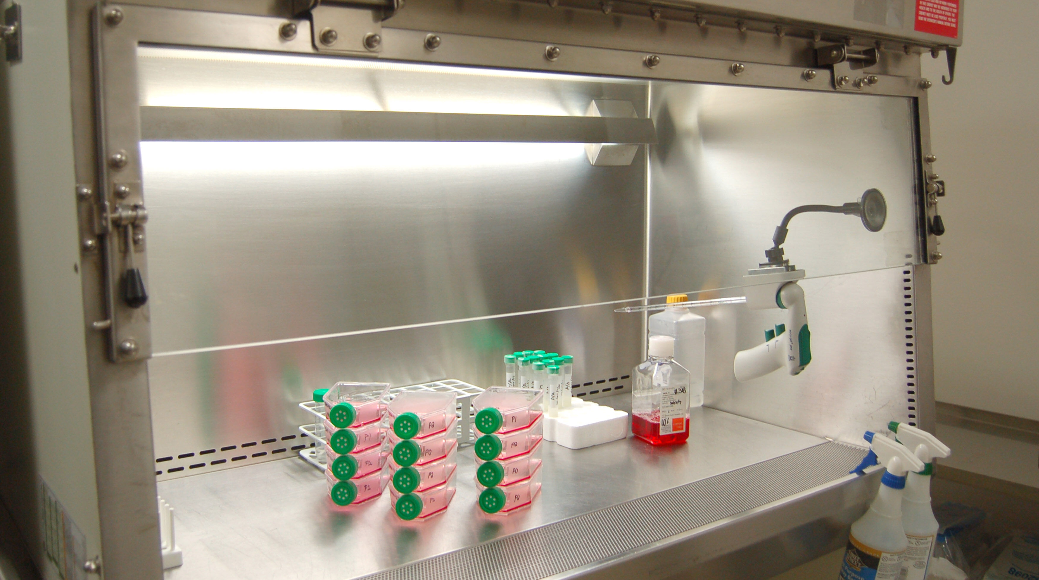 ProgenCell - 7