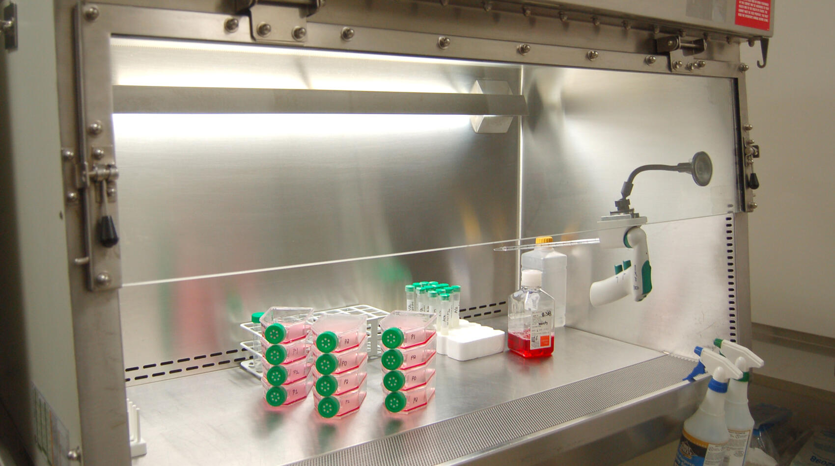 ProgenCell - 7