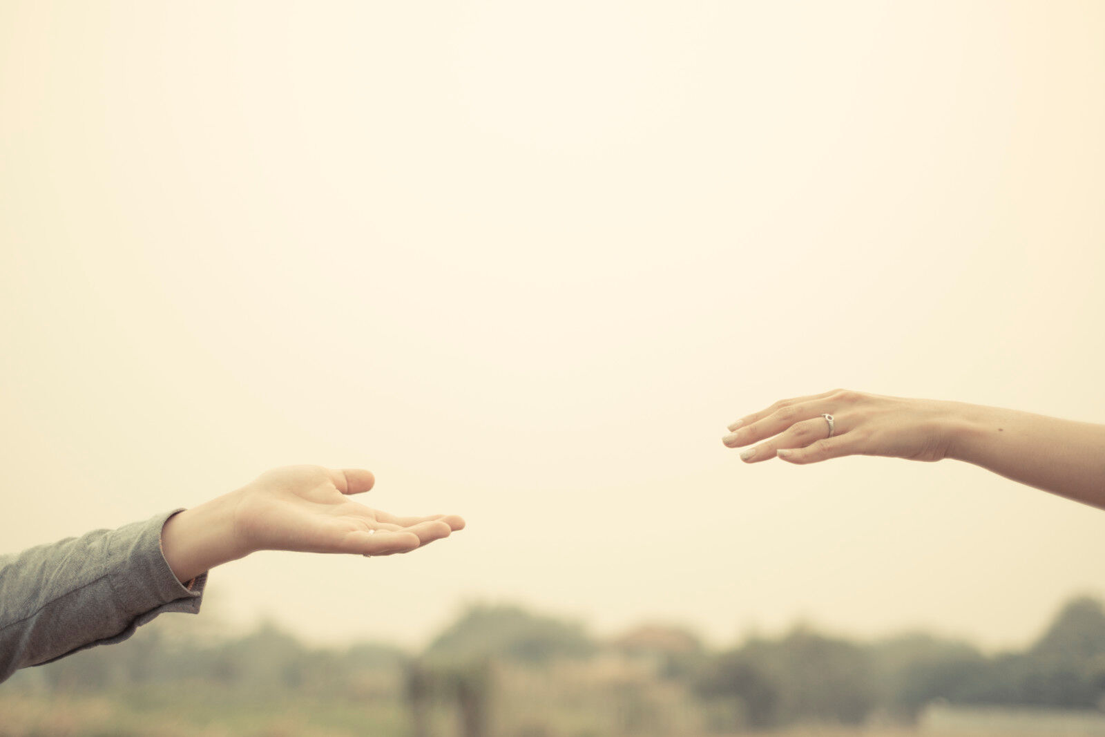 Image3_What’s In A Hug? - The Power Of Touch And Why We Pursue Human Contact