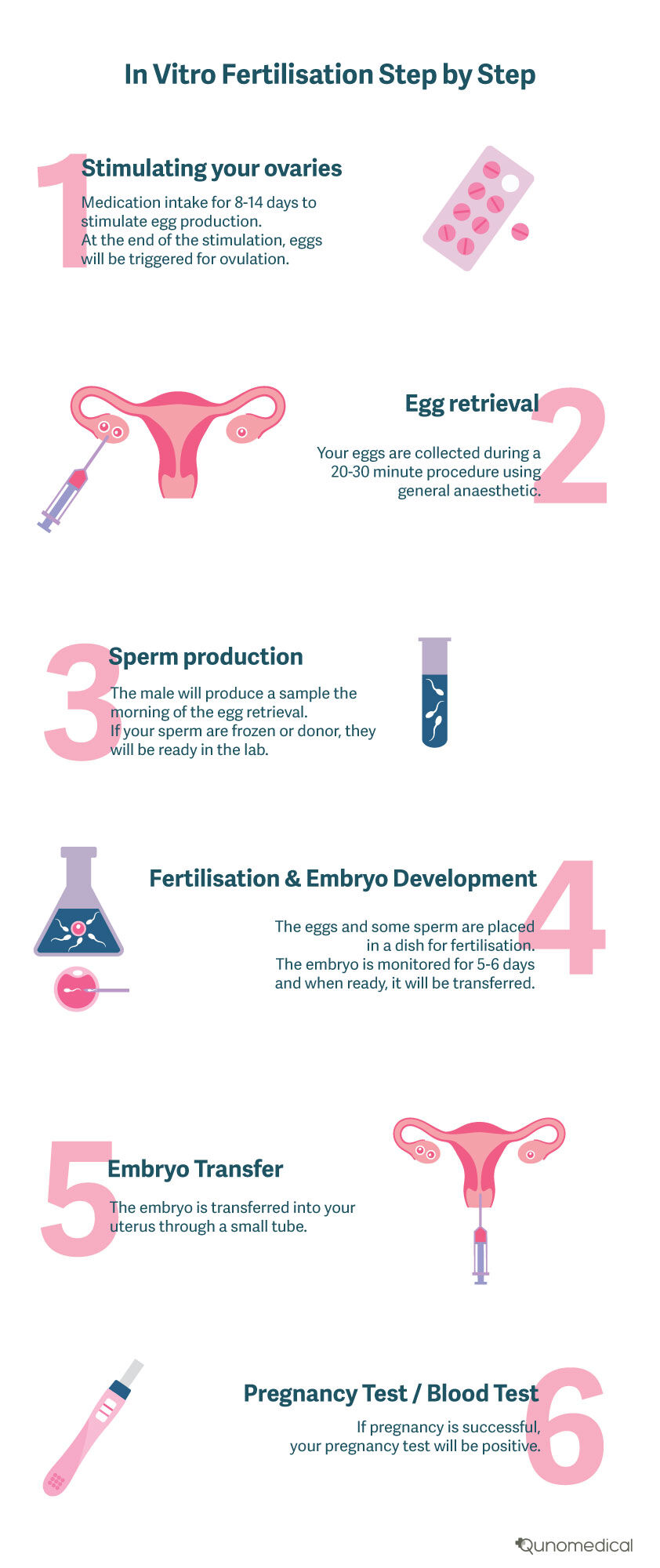 Blogpage_Image_IVF stepbystep