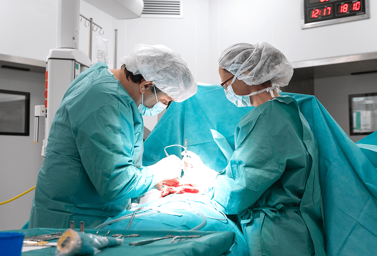 LIV Hospital Duna Hungary