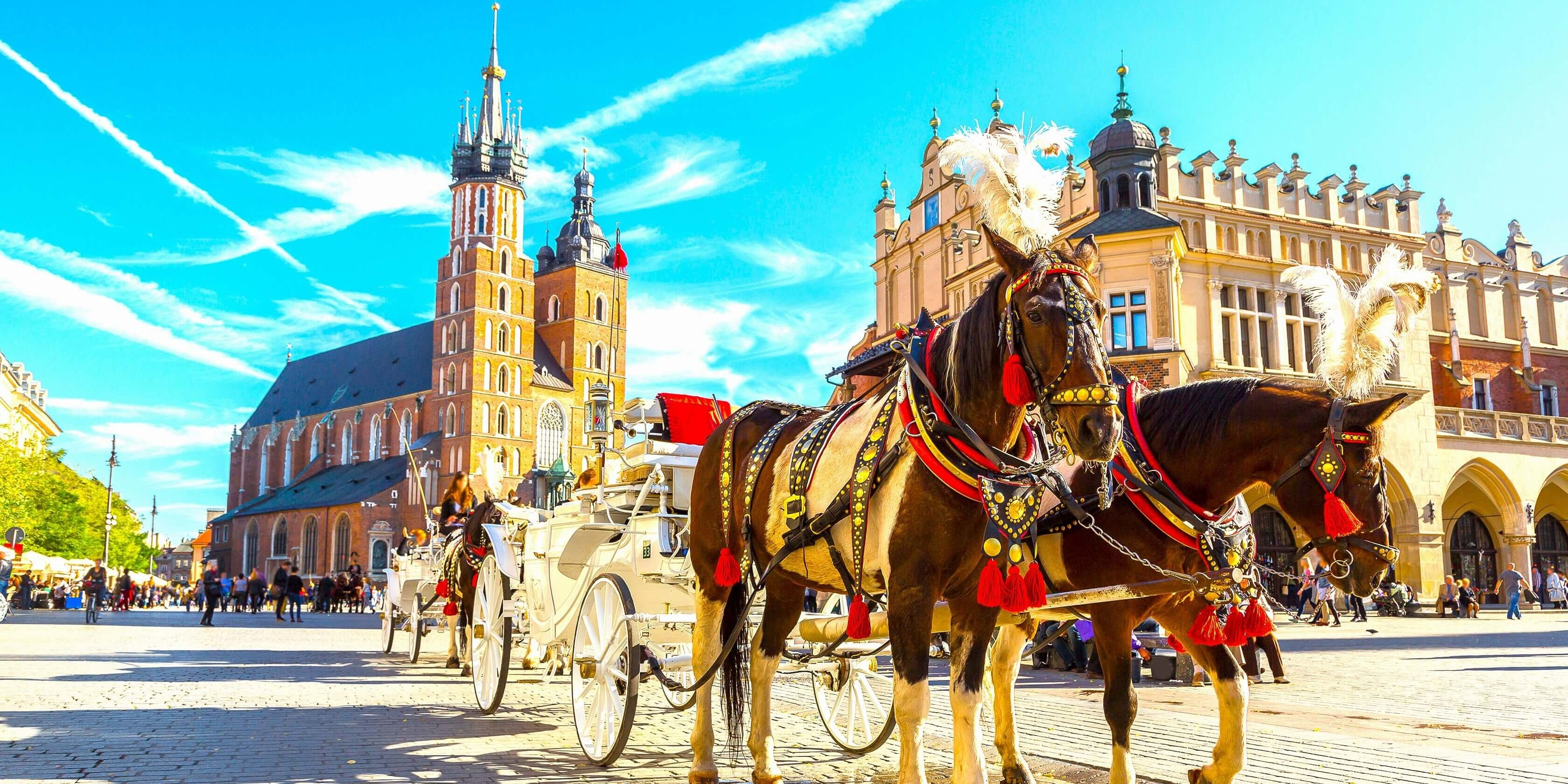 The liposuction cost in Poland is often better than in other countries.