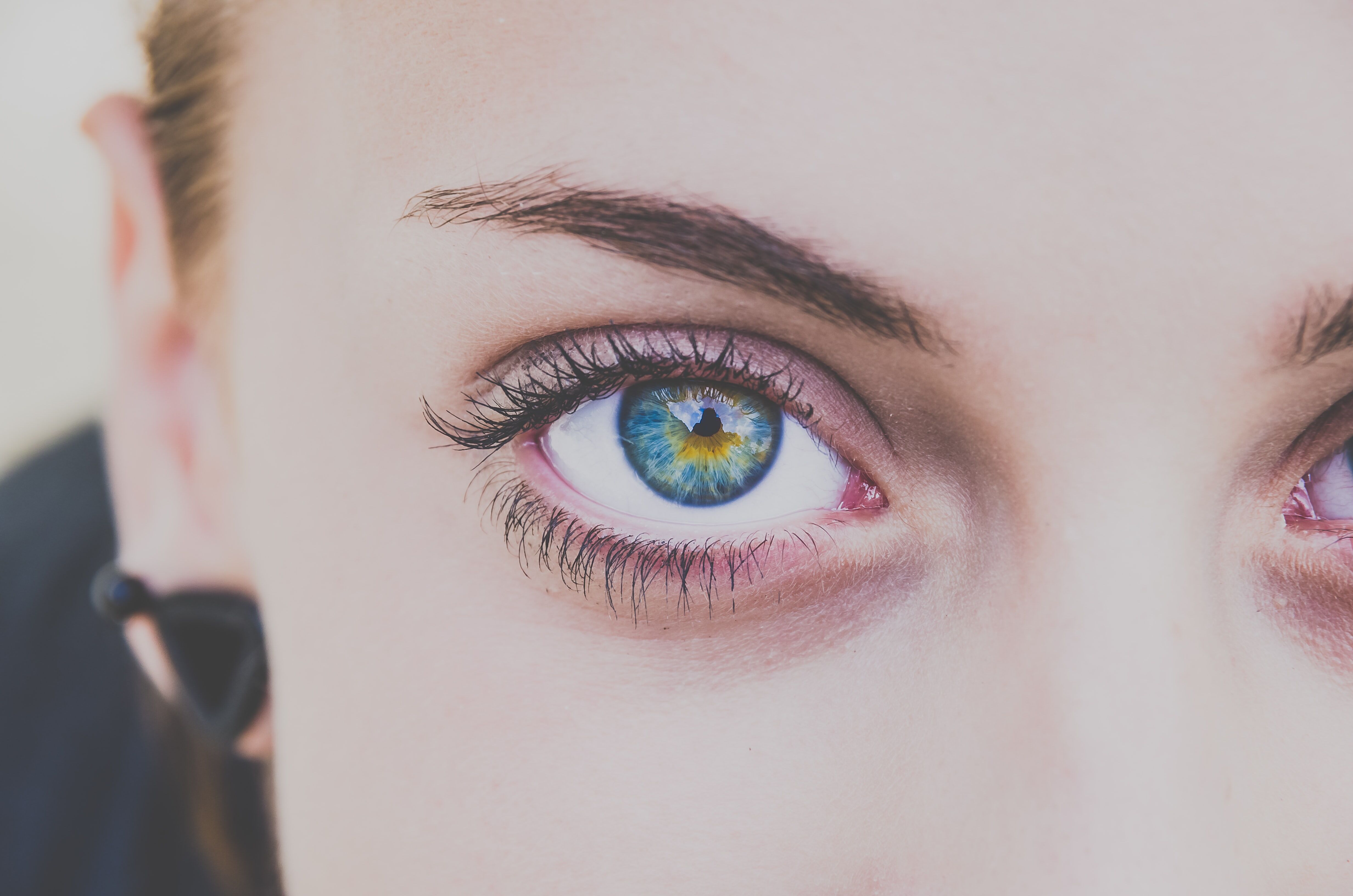 fox-eye_blog_image