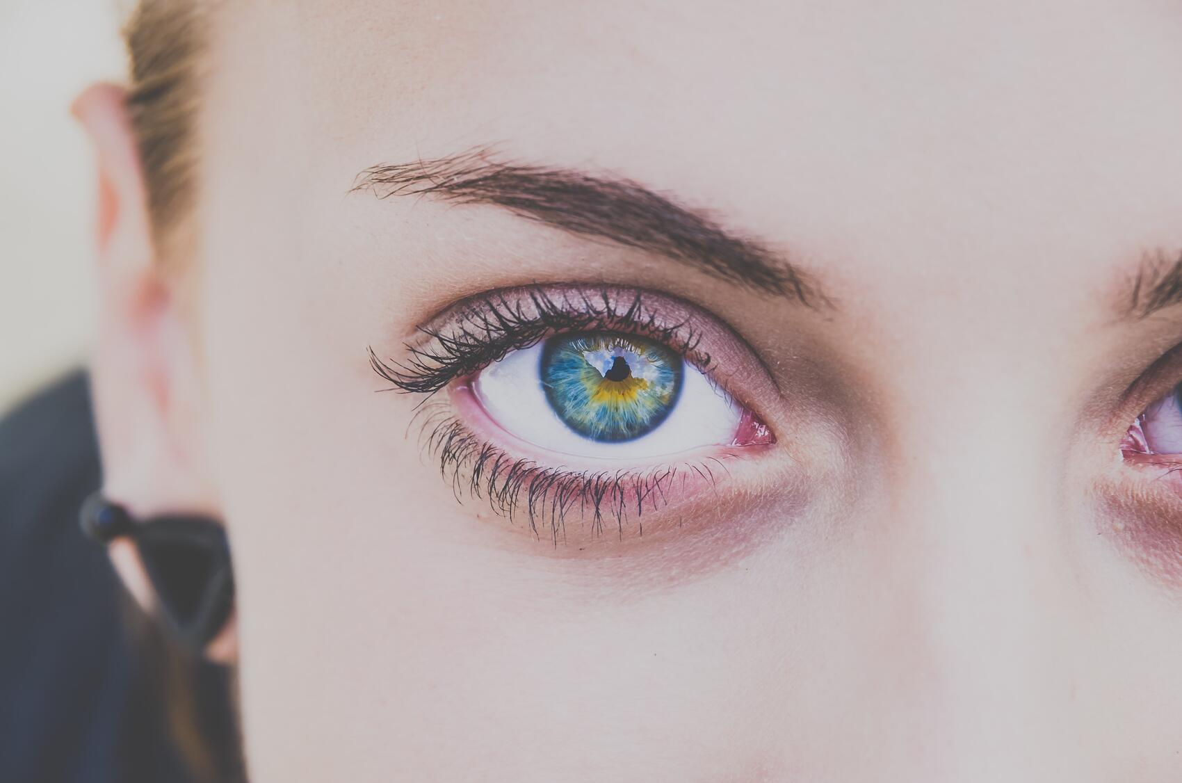 fox-eye_blog_image