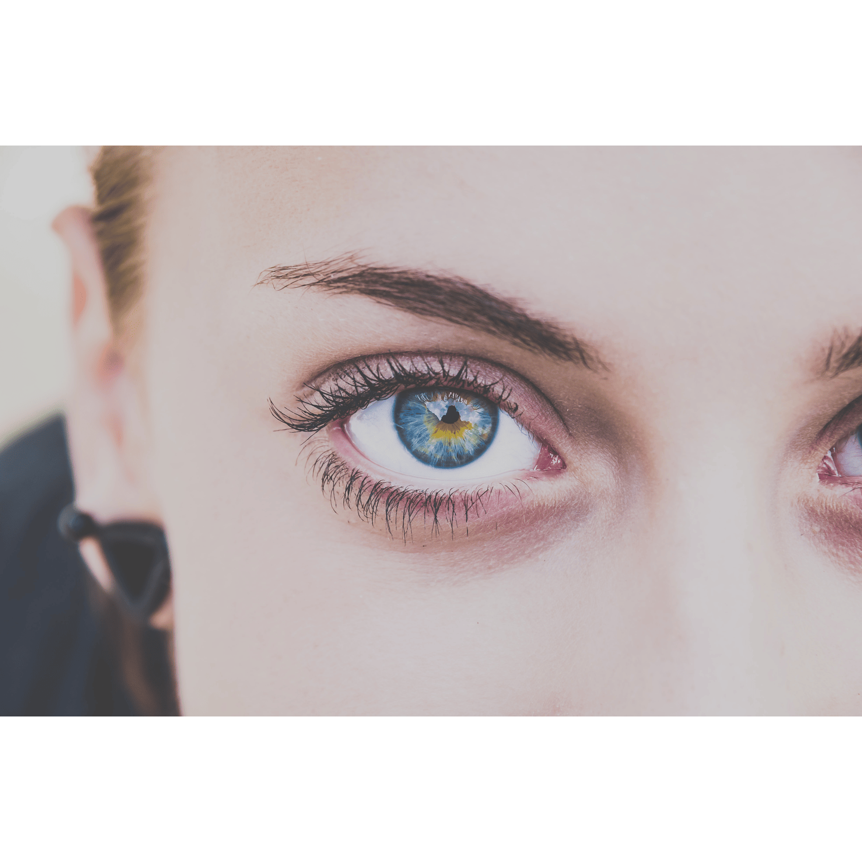 fox-eye_blog_image