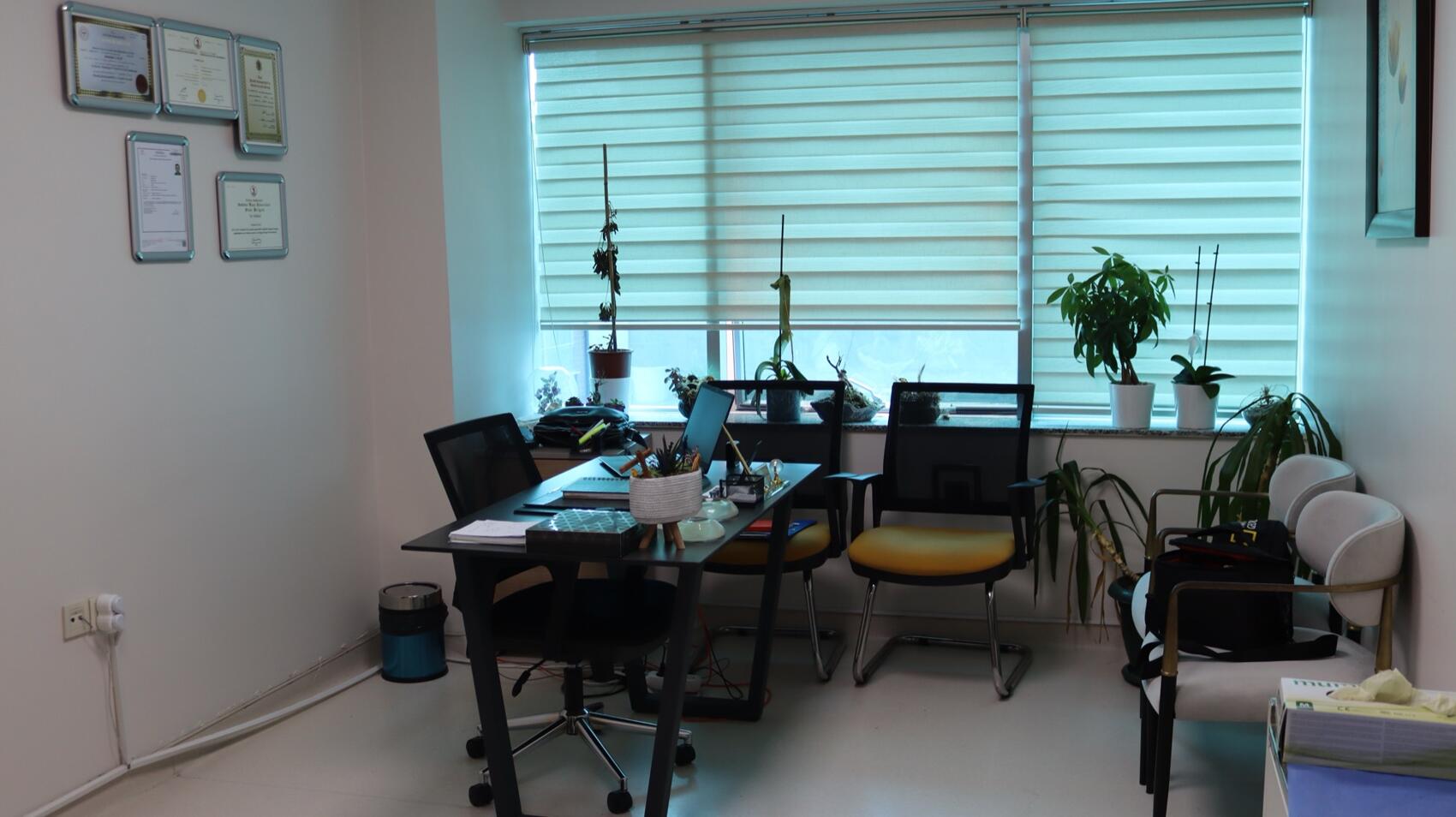 Cayra Clinic Istanbul - Consultation Room