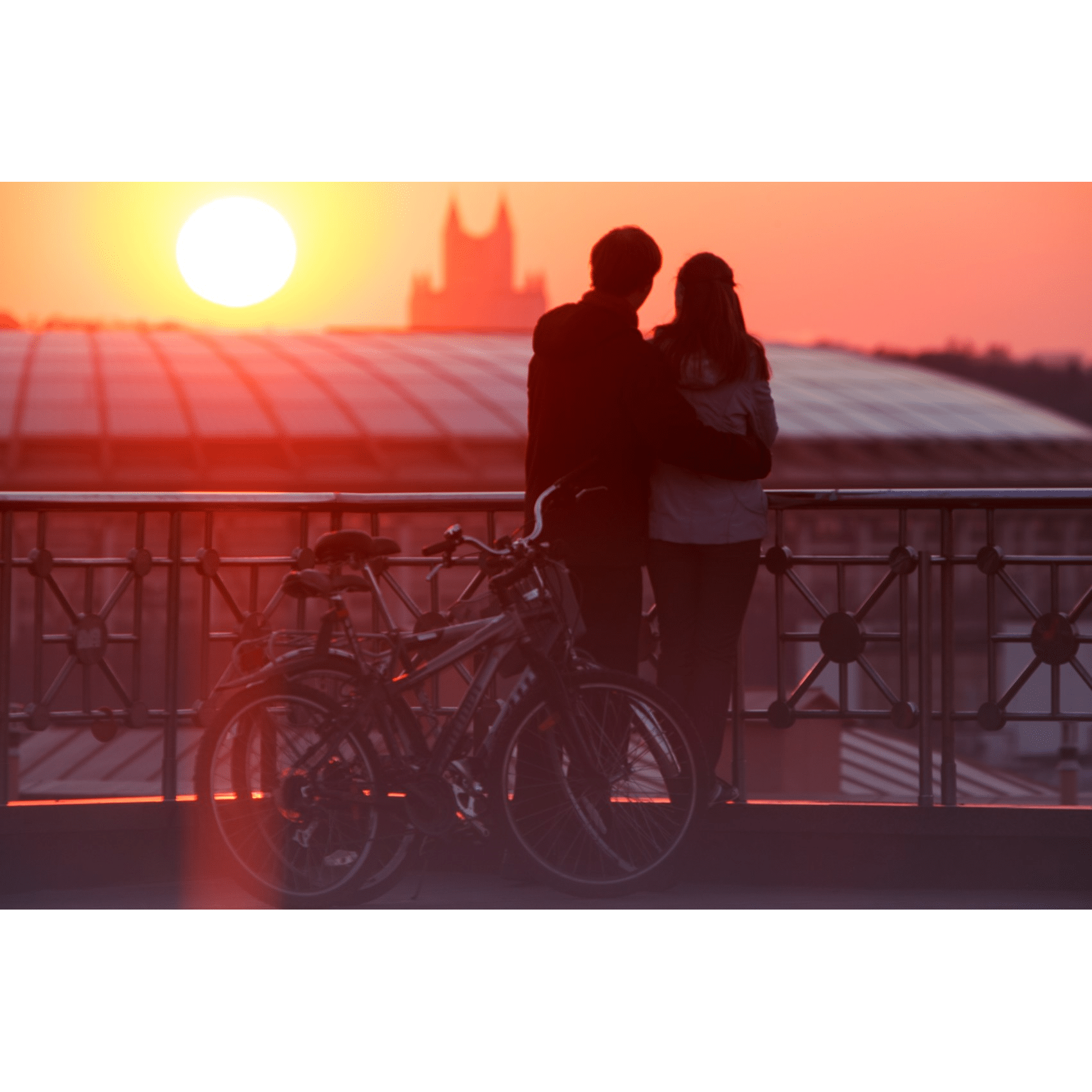 Image5_What’s In A Hug? - The Power Of Touch And Why We Pursue Human Contact