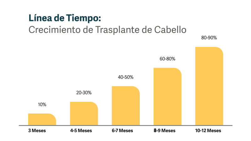 Gráfico que muestra la línea de tiempo esperada de crecimiento del trasplante de cabello.