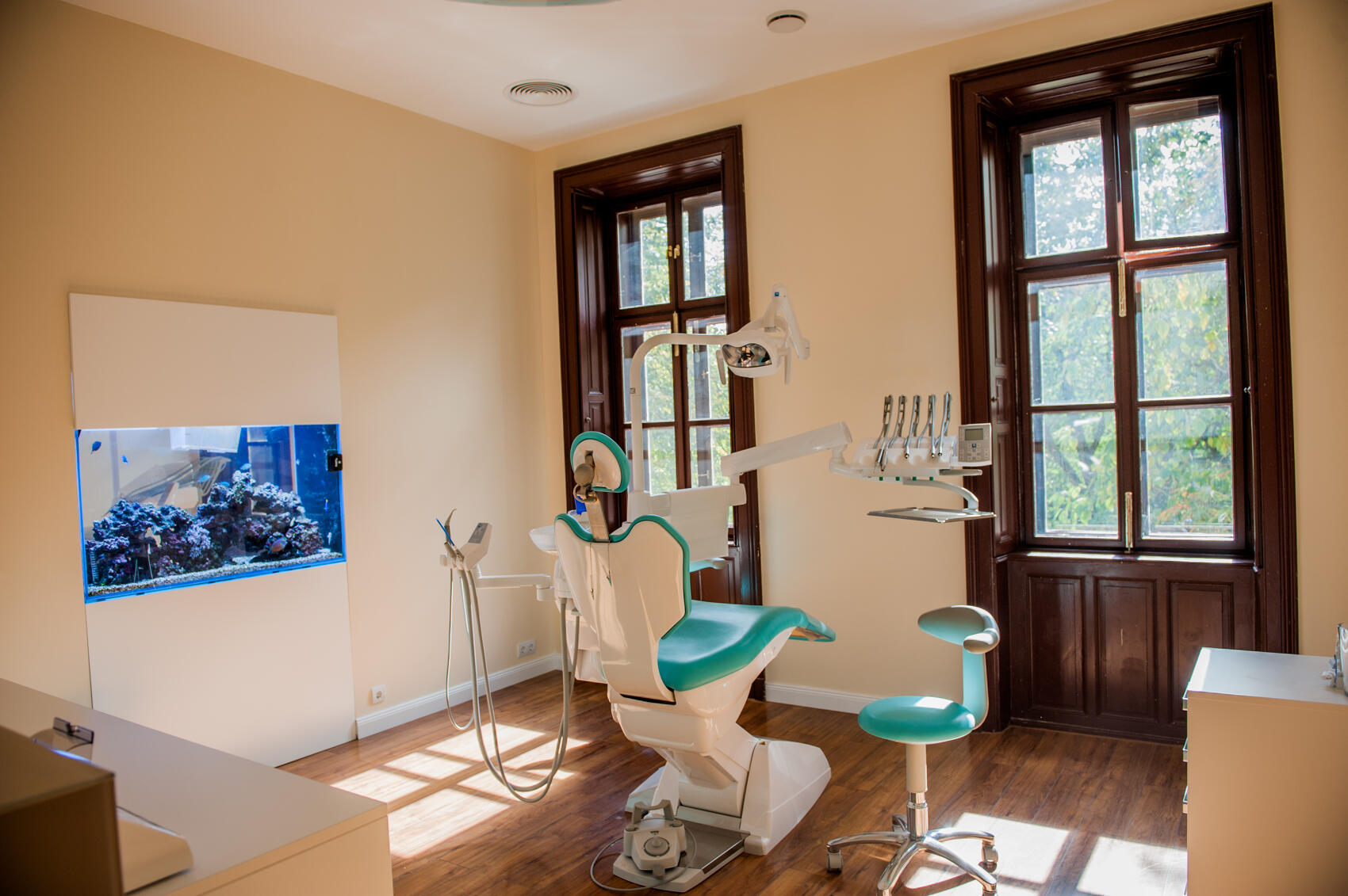 Braun Dental & Beauty - 4