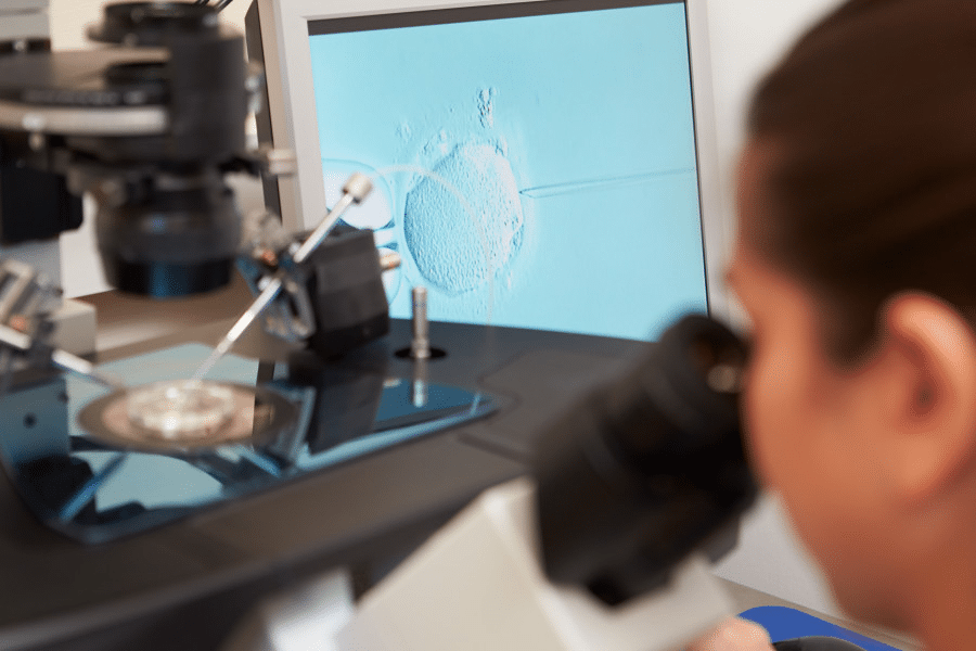 Doctor fertilizing eggs during IVF treatment.