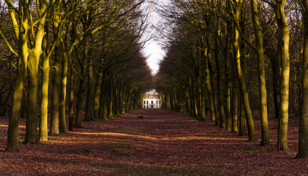 BannerImage_Why Have Drug And Alcohol Rehabilitation Abroad?