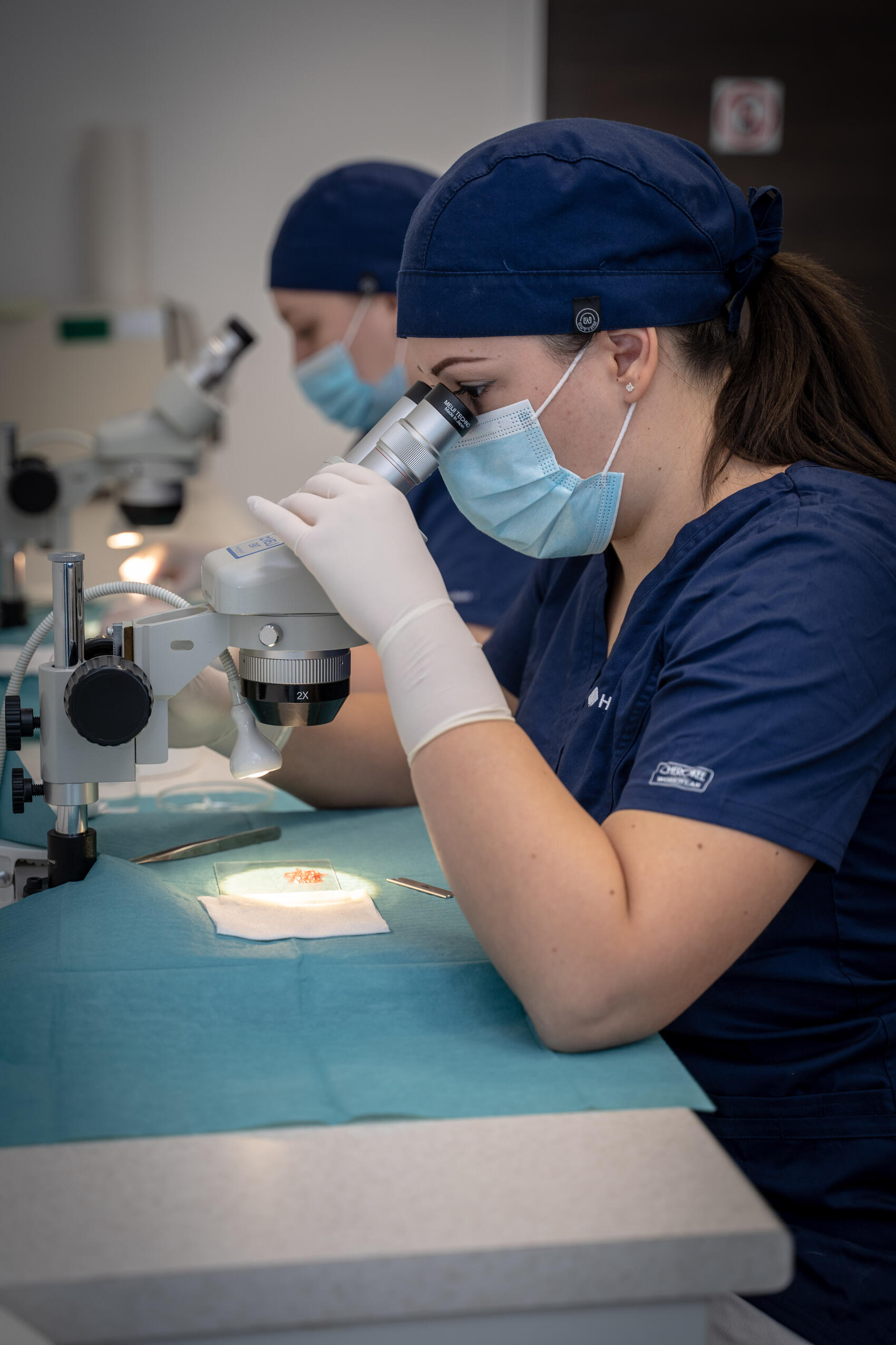 Hair Palace Graft selection